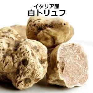 シノワ銀座店 ワイン会 開催!
11月22日(日・祝)
【ネビオーロと白トリュフは香りを楽しむものさ】
~贅沢な白トリュフと共に~