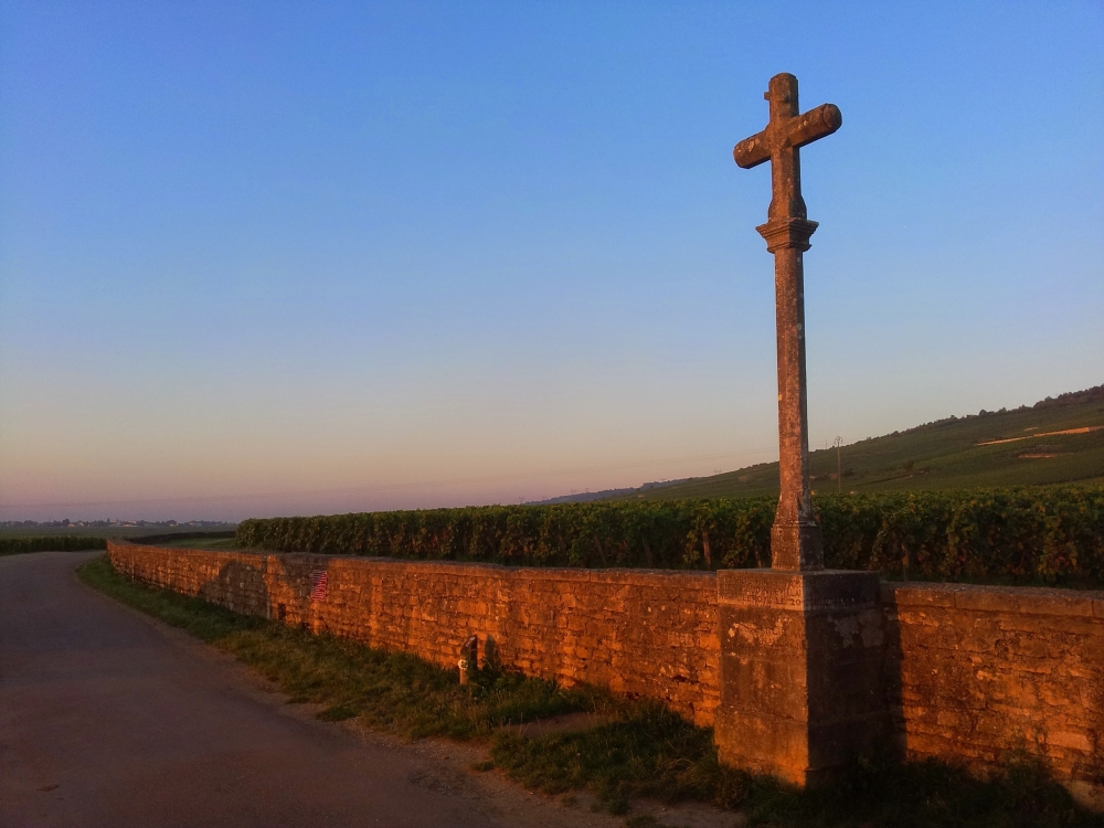 【シノワ渋谷店　年末ワイン会】１２月２９日(月) 『Bourgogne Rouge・ワイン世界遺産』 ~100年の歴史・1er Cru 編~ 