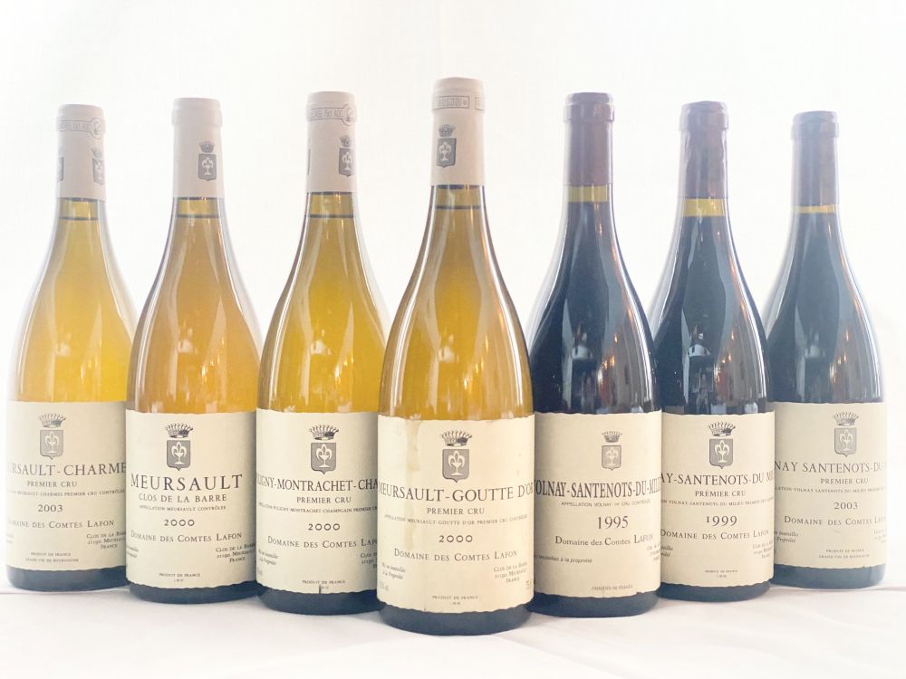 『コント・ラフォンの万華鏡』〜ボーヌの千変万化〜