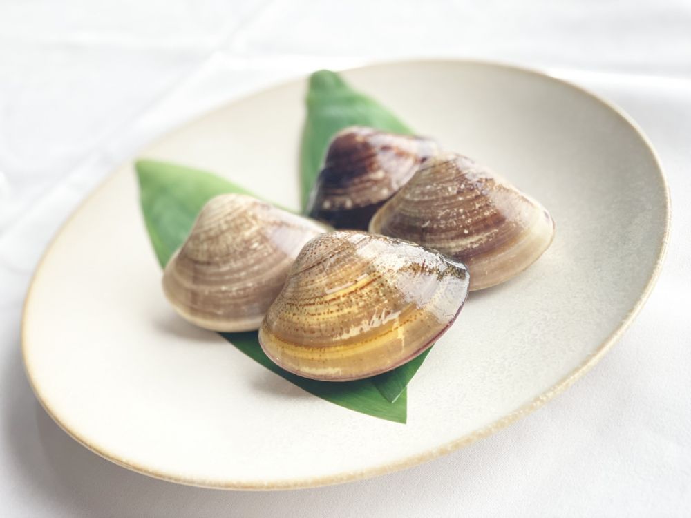 『三重県桑名市・地ハマグリ、入荷してます‼️』