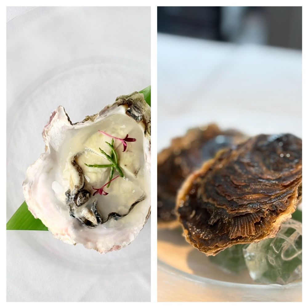早くもあの食材が⁉️
